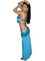Shows de odaliscas para fiestas y cumplea�os.