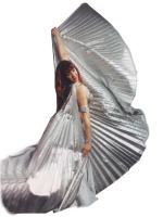 Fiestas con danzas arabes y shows.