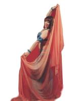 Danzas arabes shows para fiestas.