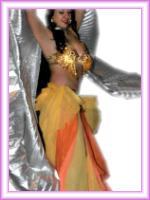 Baile con show de danza arabe para eventos.