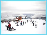 Vacaciones en centros de esqui de neuquen y pistas de esqui en cerro bayo.