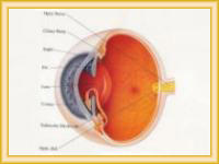 Oftalmologo operacion laser de cataratas y queratocono.