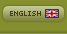 English Version