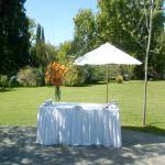 Ambientador de fiestas de 15 y fiestas de cumpleaņos.