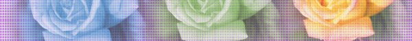 Contacto a florerias por venta de ramos de flores y rosas en argentina de florerias.