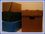Cajas de carton para archivar y bandejas de carton.