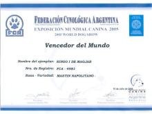 Diploma a perros de raza mastin napolitano vencedor del mundo.