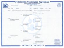 Pedigree de la mastin napolitano fionna.